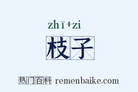 枝子是什么意思的图片